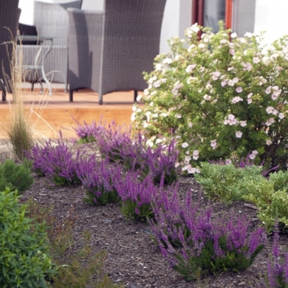 REALIZACJA OGRODU, GDAŃSK